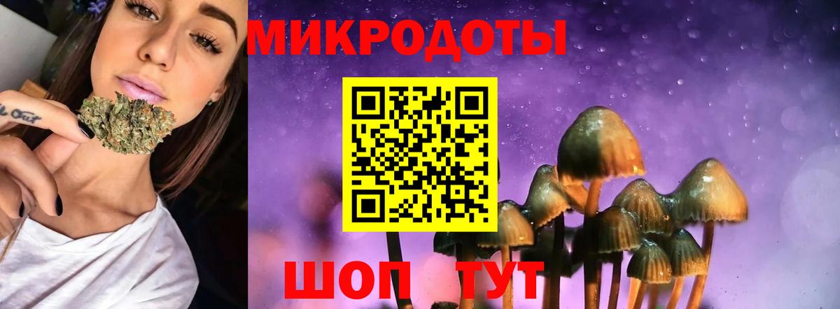 Владикавказ  Галлюциногенные грибы мицелий  Галлюциногенные грибы ЛСД  Вход с VPN 